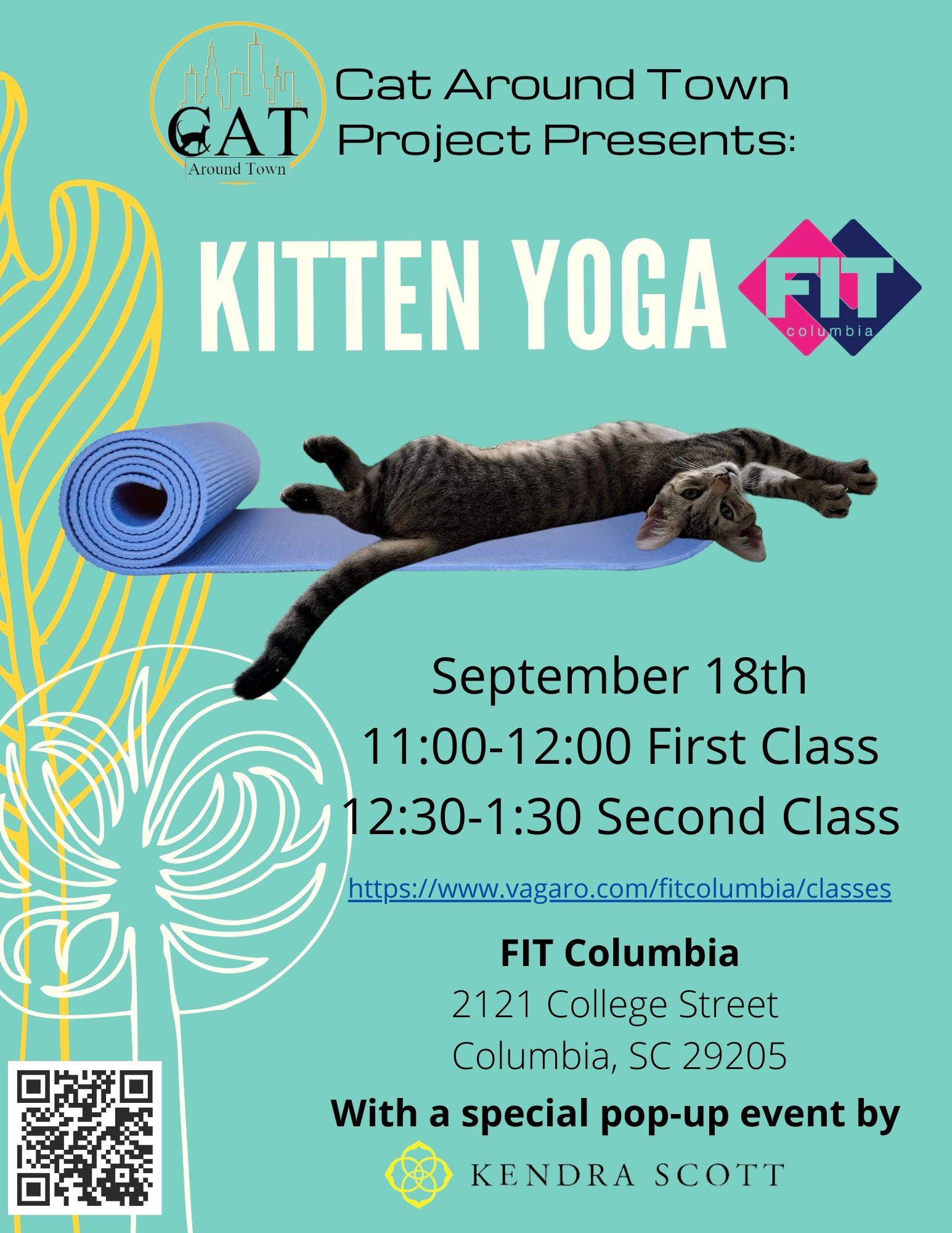 Kitten Yoga - Cat Around Town Project